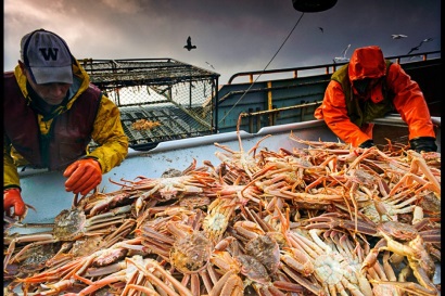 Hội đồng cua NFI chào đón các nhà cung cấp cua Indonesia 