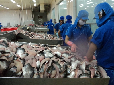 VASEP kết nạp thêm 9 hội viên mới