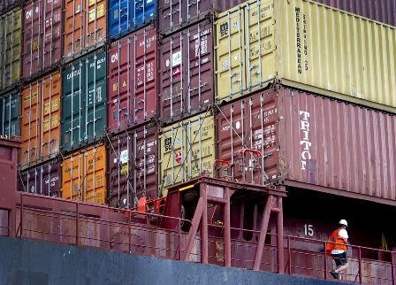 Ấn Độ: Các nhà xuất khẩu tôm lo ngại tình trạng chậm thông quan tại Trung Quốc 