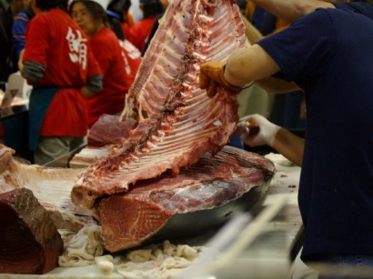 Giá cá ngừ vây xanh tươi tại Nhật ở mức 1.686 yên/kg