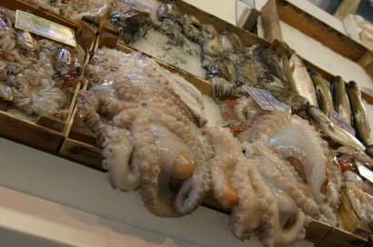 Tây Ban Nha: Sản lượng bạch tuộc ở Galicia giảm, giá tăng