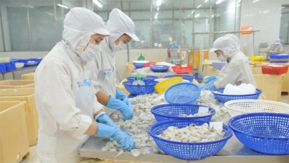 Hàn Quốc: Nhu cầu nhập khẩu tôm chân trắng vẫn tăng 