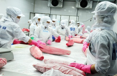 Rào cản thuế trong cuộc chiến Mỹ - Trung: cơ hội nào cho cá ngừ Việt Nam?