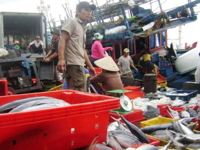 Doanh nghiệp còn gặp khó trong chứng nhận nguồn gốc thủy sản từ khai thác