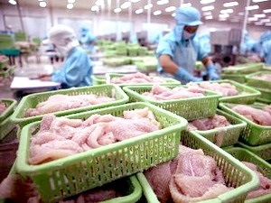 Thuế chống phá giá của Mỹ không ảnh hưởng đến xuất khẩu cá tra Việt Nam