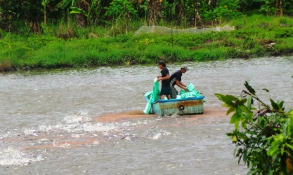 Bộ TN&MT trả lời về việc áp dụng Quy chuẩn kỹ thuật quốc gia về nước thải cho khu nuôi cá tra