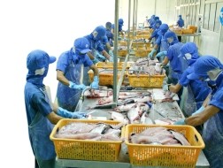HUNG VUONG CORP: Dự kiến bán toàn bộ 1,26 triệu cổ phiếu quỹ