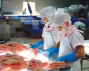 Cơ hội cho thủy sản Việt Nam