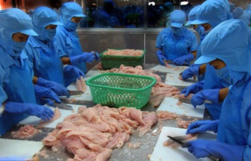 Xuất khẩu cá tra sang EU có thể tăng trở lại trong 2016