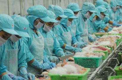 Xuất khẩu cá tra sang Mỹ sẽ có bước tăng trưởng mạnh?