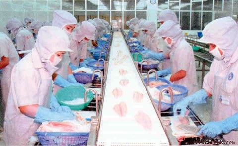 Không lo gian lận thương mại trong ngành thủy sản trong bối cảnh thương chiến Mỹ - Trung