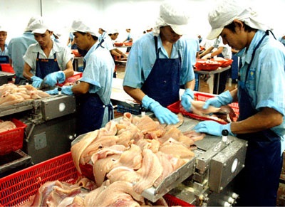 VASEP: Mỹ áp thuế chống bán phá giá lên cá tra Việt Nam là không công bằng