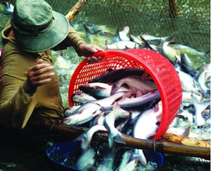Hai thách thức lớn