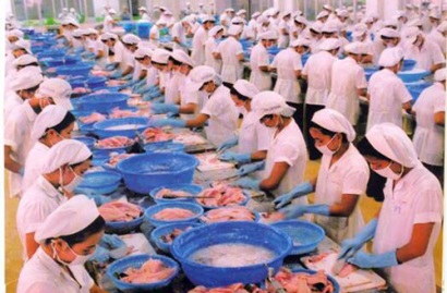 Hãy để cá tra vào các siêu thị và kênh bán lẻ nội địa