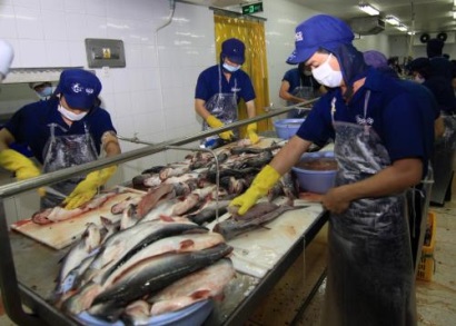 Panama có thể thanh tra cơ sở nuôi, chế biến cá tra Việt Nam