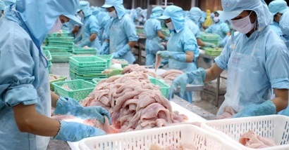 Một số thông tin cập nhật về chương trình thanh tra cá da trơn