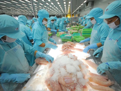 Cá tra Việt tìm thị trường mới