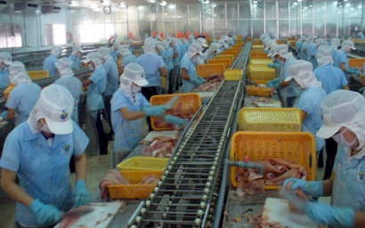 Xuất khẩu cá tra sang EU cần thay đổi chiến lược