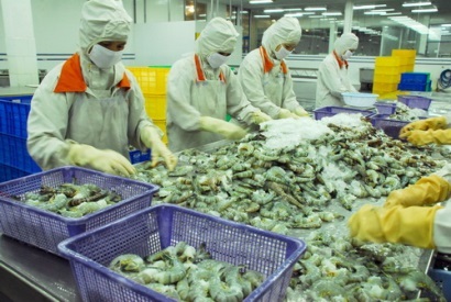 Quý II/2016: Xuất khẩu tôm tăng 2,3%
