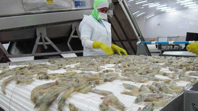 Indonesia và Ecuador gia tăng thị phần trên thị trường tôm Mỹ