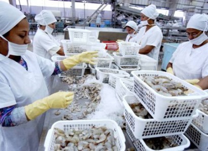 Ecuador không ngại phải cạnh tranh với Argentina tại thị trường Trung Quốc 