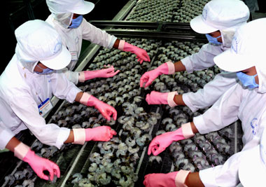 CAMIMEX: Báo cáo Tình hình quản trị năm 2012
