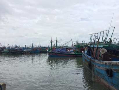 Tổ Công tác IUU VASEP khảo sát tại Chi cục Thủy sản và cảng cá Đà Nẵng, Khánh Hòa và Bình Thuận