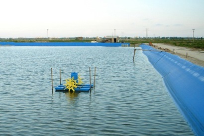 10/4/2018 – [Cần Thơ] Hội nghị tổng kết Kế hoạch Quốc gia giám sát dịch bệnh trên tôm, cá tra phục vụ xuất khẩu năm 2017 và triển khai Kế hoạch năm 2018