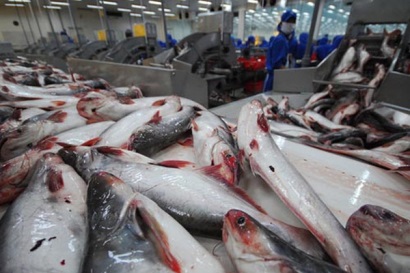 Việt Nam tổ chức Hội nghị bàn tròn về cá tra tại Seafood Expo Global 2017 - Brussels, Bỉ