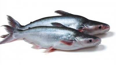 USDA bắt đầu thanh tra cá tra nhập khẩu từ 2/8/2017