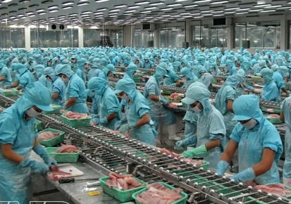 Mời tham dự khóa đào tạo "Quản trị sản xuất “Nâng cao năng suất, cải tiến định mức” trong doanh nghiệp chế biến thủy sản"