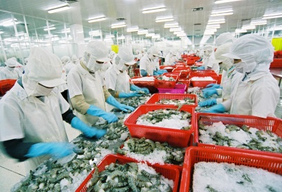 Đề nghị Bộ LĐ-TB&XH trả lời kiến nghị của VASEP về không tăng lương tối thiểu 2017 trước ngày 22/10/2016