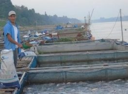 Hội thảo HT.16.16: “Nghiên cứu Ảnh hưởng của nuôi cá tra lên đất ngập nước ở Đồng bằng Sông Cửu long (ĐBSCL)” 
