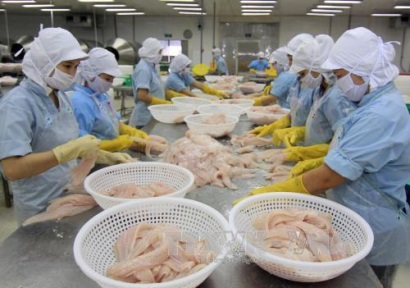 Xuất khẩu cá tra giảm tại EU và Brazil
