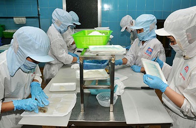 Hàng nhập khẩu để SXXK: sẽ không phải thực hiện công bố hợp quy