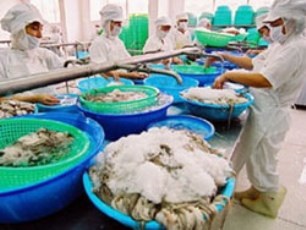 Nông sản Việt chinh phục thị trường xuất khẩu