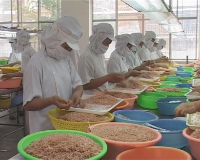 Lo thẻ vàng thủy sản