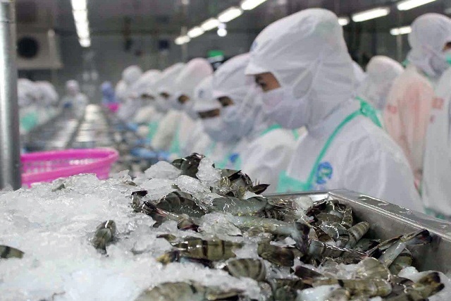 Xuất khẩu tôm Việt Nam sang EU hi vọng tăng trưởng nhờ Hiệp định EVFTA 