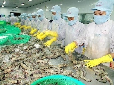 Xuất khẩu tôm dự báo tăng 9%