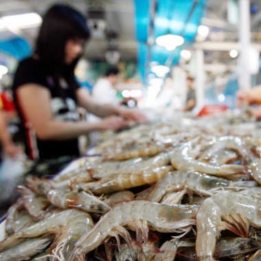 Trung Quốc: Giá tôm tăng mạnh trước Tết