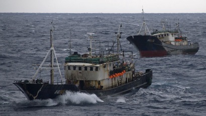 EJF: Hàn Quốc cho phép bán hải sản khai thác bất hợp pháp