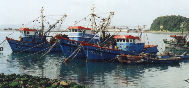 Thẻ vàng IUU cho Ecuador - nhà cung cấp cá ngừ chính của EU