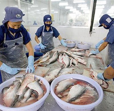 CL FISH: Báo cáo Kết quả giao dịch cổ phiếu của Cổ đông nội bộ