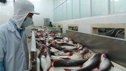 CL-FISH CORP: Quyết định bổ nhiệm Phó Tổng Giám Đốc