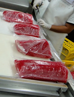 Tây Ban Nha: Phản đối mức hạn ngạch thuế quan với sản phẩm thăn/philê cá ngừ hấp chín 