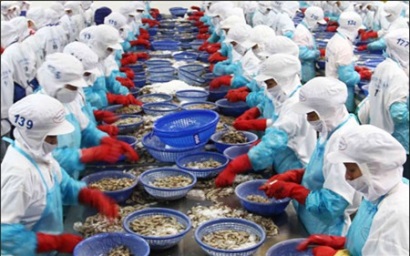 Doanh nghiệp thủy sản nhập khẩu nguyên liệu cho sản xuất xuất khẩu gặp khó với thủ tục hành chính