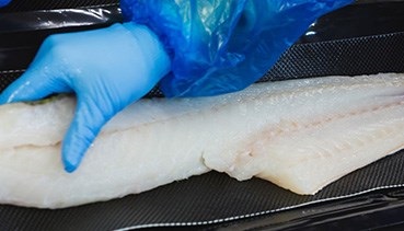 Xuất khẩu cá tuyết tươi Na Uy tăng mạnh trong tháng 1/2020