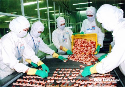 Bac Lieu Fis: Áp dụng thành công ISO 22.000 nâng cao năng suất chất lượng