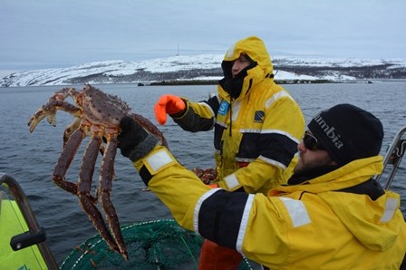 Na Uy: Xuất khẩu cua huỳnh đế tăng