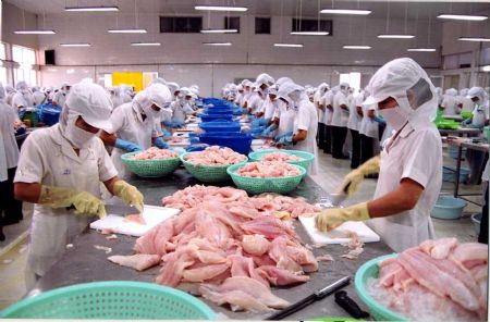FIMEXVN là một trong 12 doanh nghiệp thủy sản niêm yết trên sàn lọt vào top 500 Doanh nghiệp tư nhân lớn nhất Việt Nam 